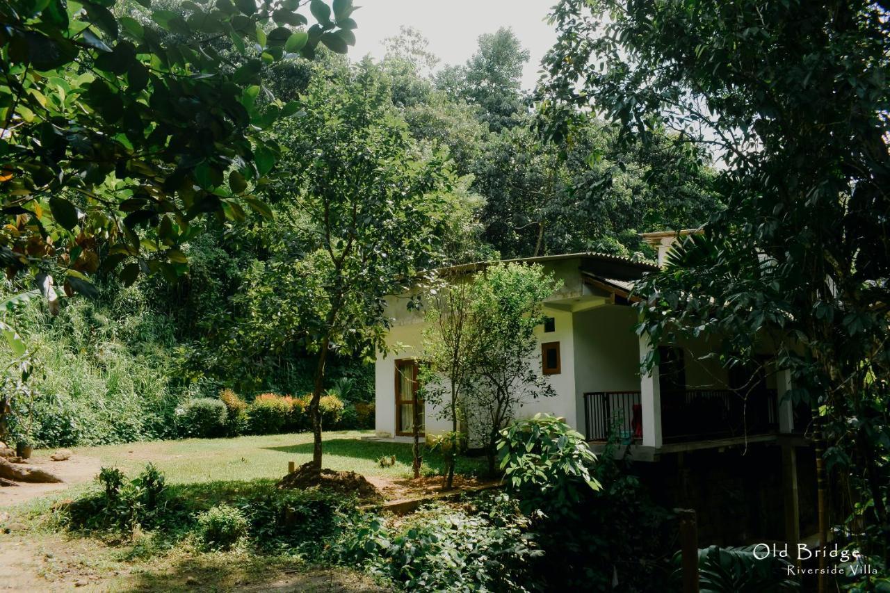 Old Bridge Riverside Hotel Kitulgala Exteriör bild
