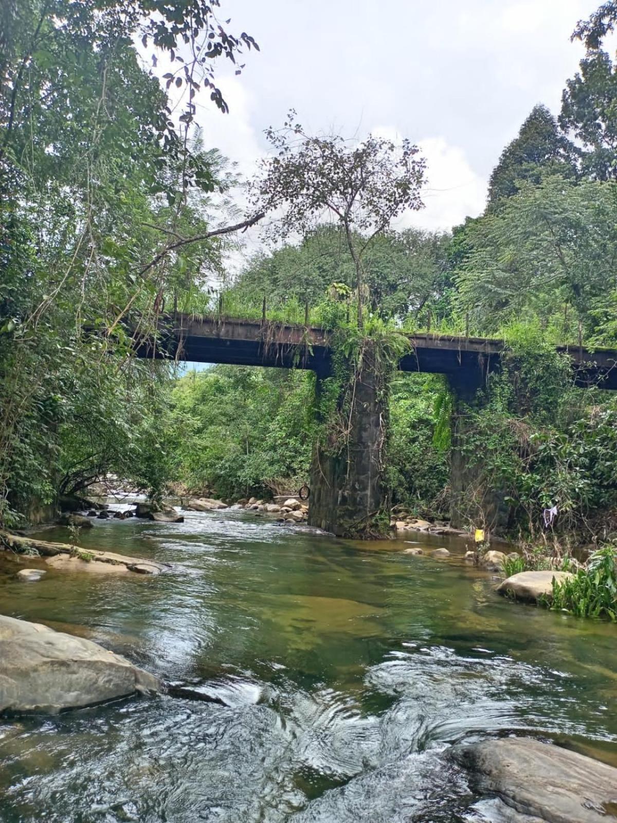 Old Bridge Riverside Hotel Kitulgala Exteriör bild